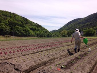 19179509_1866200763629243_1457161535_o