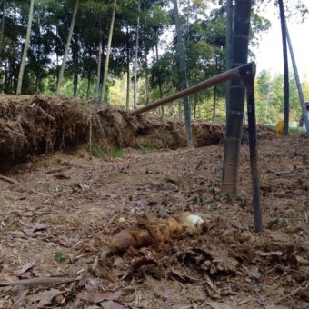 19182078_1581326298567861_825200108_o