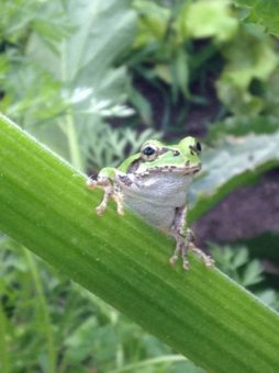 19248133_10155457568359243_543407590760417791_n