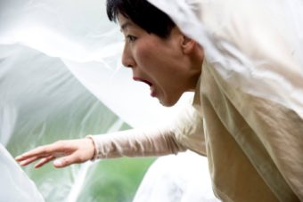 20931058_10213937808749715_222098141_o