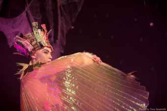 dj_01092017-098コピーライト