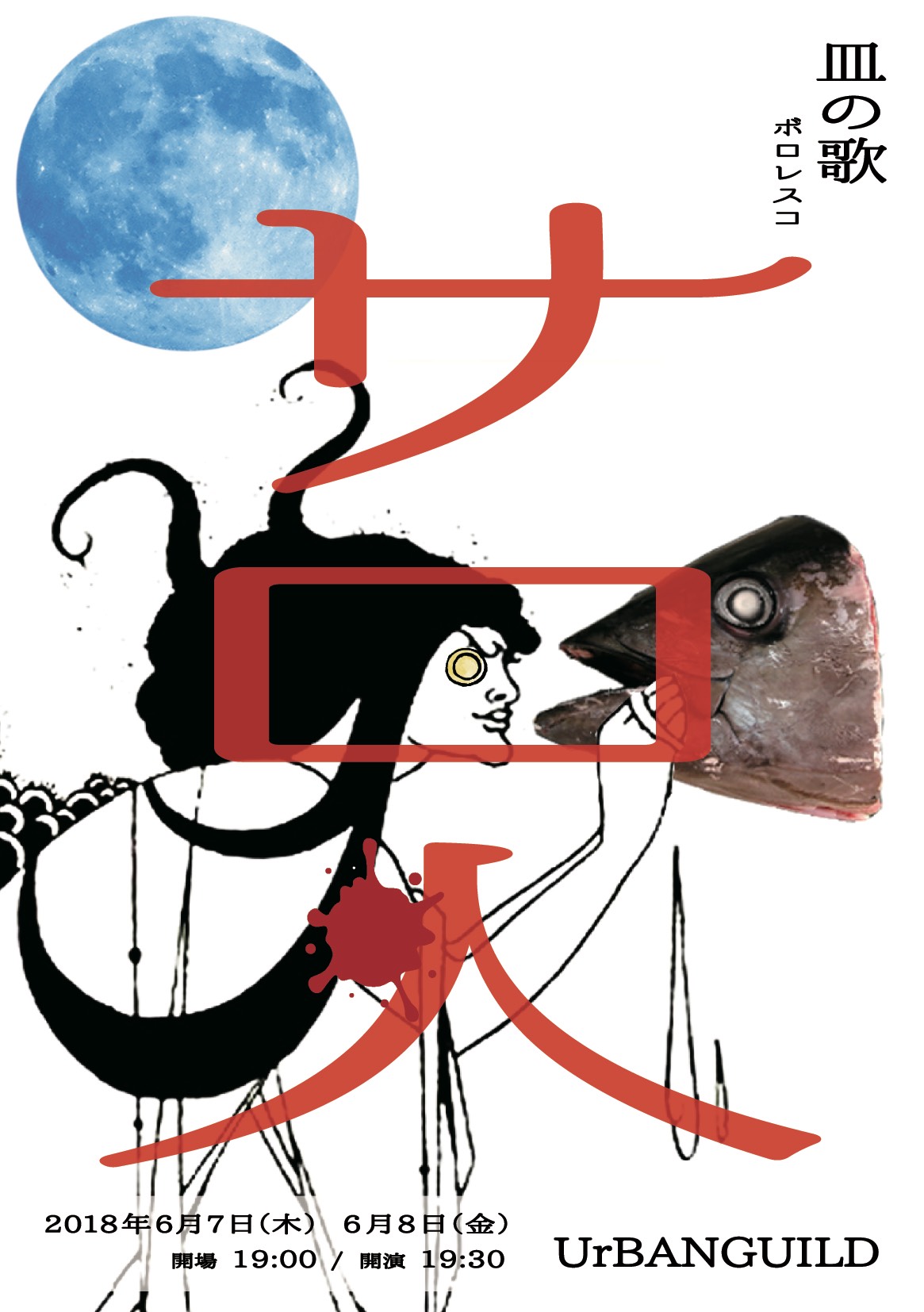 IMG_5225サロチラシ