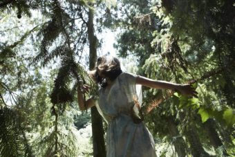 50681679_342123573181131_5236839115613274112_n