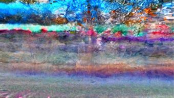 50999746_254742505427290_4357562772142161920_n