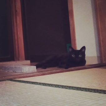 45292594_2399367353425301_8301064351620530176_n