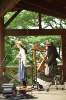 52556920_251800982415984_4269301310173478912_n