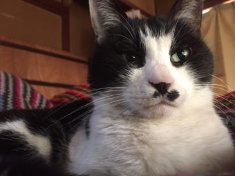 55788336_1754109081356250_1113147010774466560_n