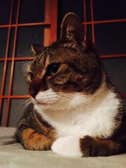 55875043_364094124446064_576900956386492416_n