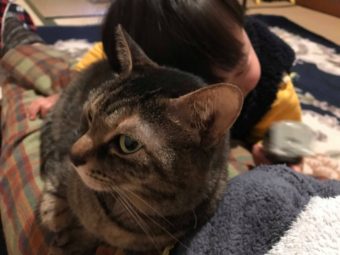 67307841_644573769352416_2336221927078625280_n