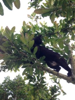 67655239_511203212781280_7929809878225256448_n