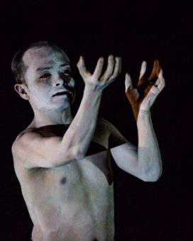 73198526_424817701514280_6129662769483481088_n